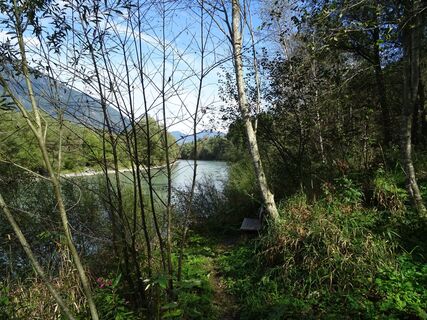 Unberührte Natur entlang der Drau