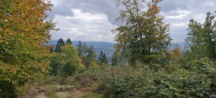 Foto von Karin-Wandert entlang der Tour