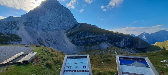 Fotografia z Ales Grmsek na trase