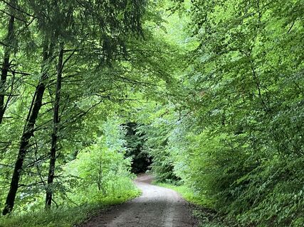 Fotografia z Meinrad Föger na trase