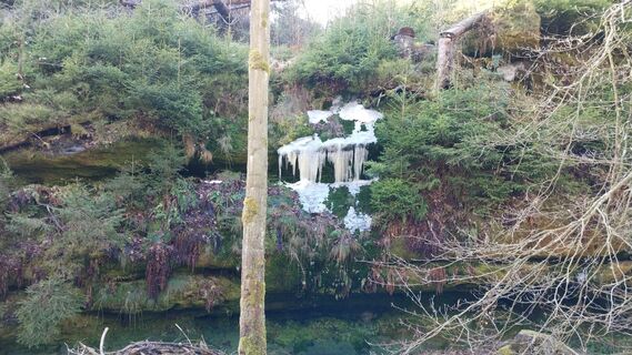 Photo de Jara D. le long du parcours