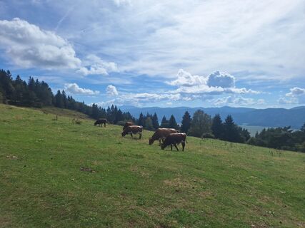Foto de Marjan Klančar 1 a lo largo del recorrido