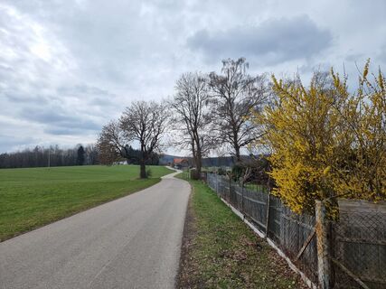 Foto von Felix entlang der Tour