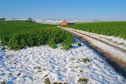 Rund um den Glockenberg ab/bis Ulrichskirchen
