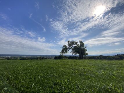 Fotografie z Sven Krieblin na trase