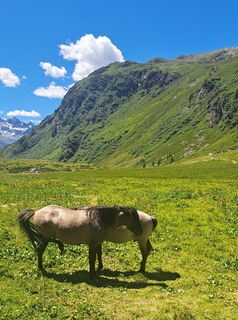 Foto von Christian Lerchster entlang der Tour