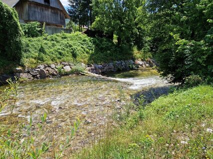 Photo de Viktor The Great le long du parcours