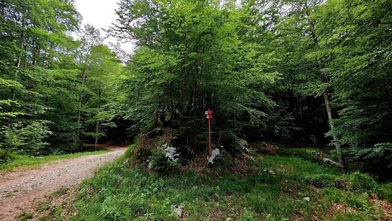 Foto von Danijel Sorola entlang der Tour