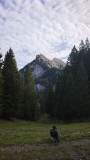 Foto von Brigitte Bruckmayr entlang der Tour