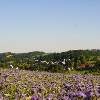 Blick über Borstendorf