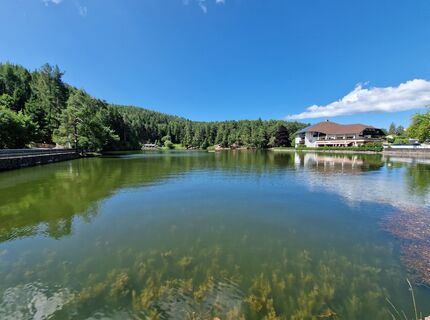 Foto von Mario Augustini entlang der Tour