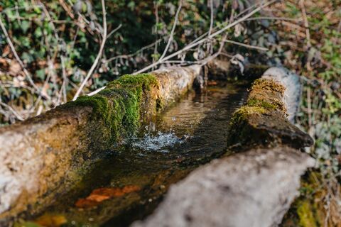Rund um Goldbach – Liebevoll gestalteter Brunnen