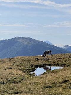Fotografija s spletne strani Hans Peter Gröchenig na poti