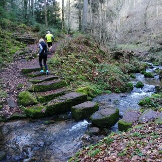 Trittsteine über den Schweinbach in Hirsau