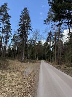 Foto von Benedikt Pracht entlang der Tour