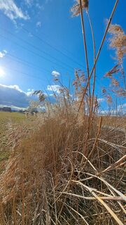 Foto von Anita Lunzer 1 entlang der Tour