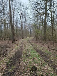 Photo de Keramiek le long du parcours