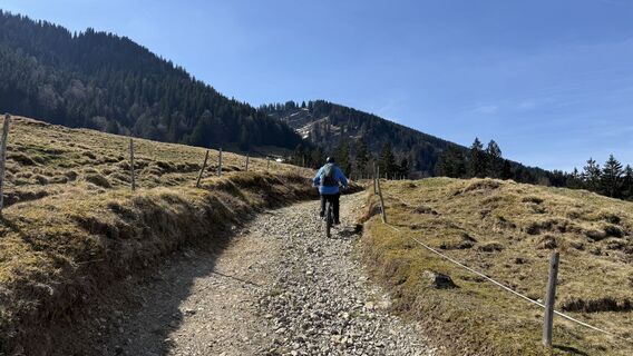 Foto von Similaun entlang der Tour