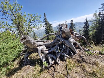 Fotografija s spletne strani Renate Scheiber na poti