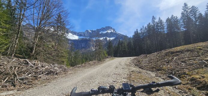 Photo de Johann Schallinger le long du parcours