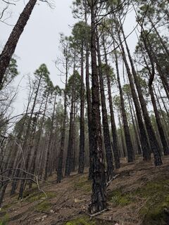 Foto de Martina Jahn a lo largo del recorrido