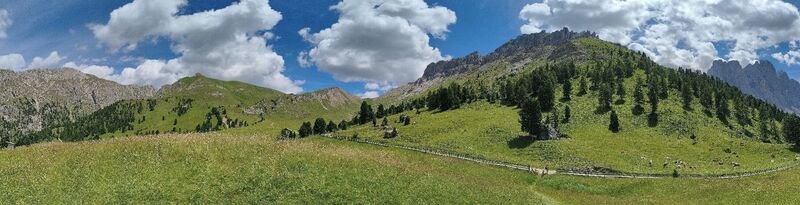 Foto von walrei entlang der Tour