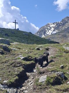Photo de Gustl le long du parcours