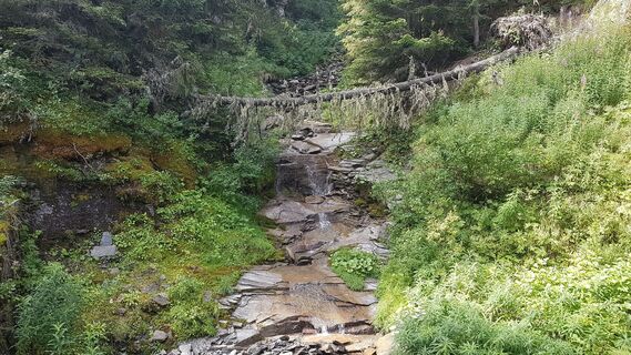 Torrente Fernier