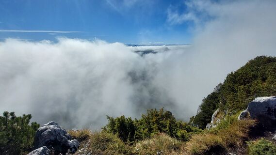 Photo de Thomas Berensmann le long du parcours