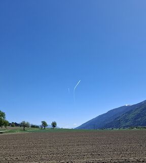 Foto von Mangolein entlang der Tour