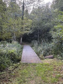 Fotografie z P-C-K na trase