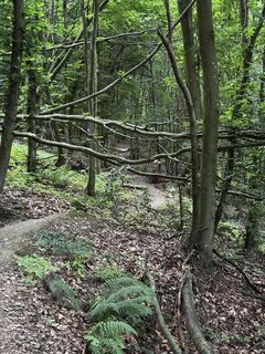 Foto fra FranzCarl underveis på turen