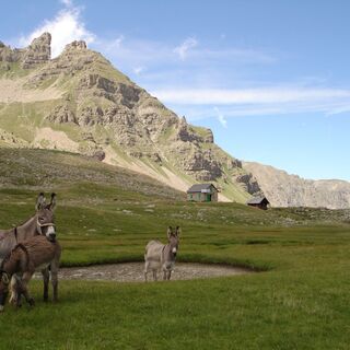 Gialorgues-Plateau