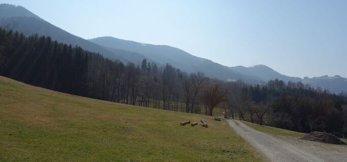 am Weg zum "Bertlsteig"