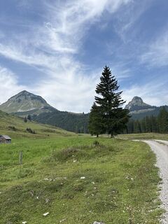 Photo de Heinz Sperl le long du parcours