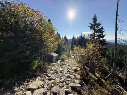 Foto von Dani Geiger / Natur_erleben_dg entlang der Tour