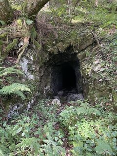 Zemljevid
