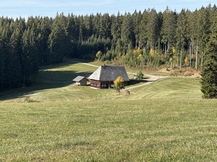Photo de Herman le long du parcours