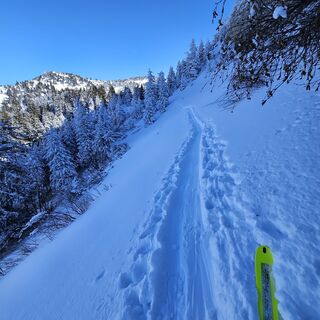 Fotografie de la Andreas Raab de-a lungul turului