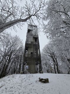 Zdjęcie z Géza Kováts wzdłuż trasy