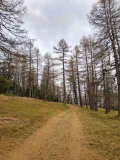 Foto von Andrea Treichl entlang der Tour