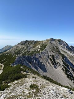 Fotografija s spletne strani Nicola Biancardi na poti