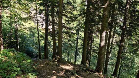 Kuva osoitteesta EP87 matkan varrella