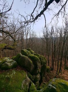 Photo de Schwartzhox le long du parcours