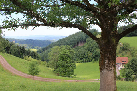 Ausblick von der Hark