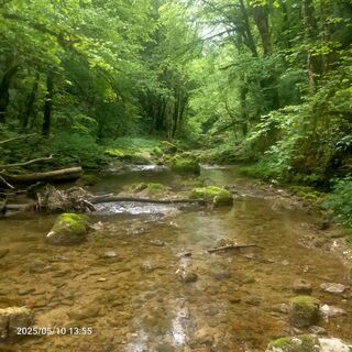 Photo de Adrien Garniron le long du parcours