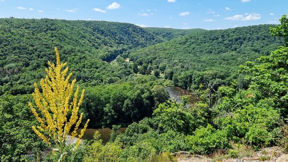 Fotografia z fschwarzenberger na trase