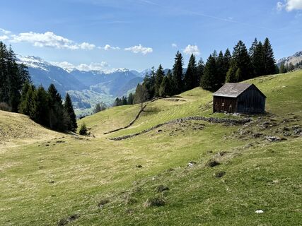 Фото с сайта Daniel Herz во время экскурсии