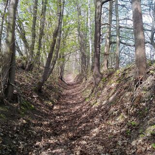 Rundwanderweg Witzschdorf