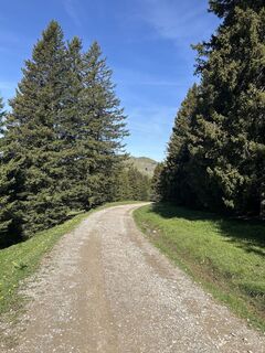 Fotografija s spletne strani Ewald Zweifel na poti